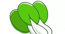 以大白菜装Win7教程（教你如何用大白菜安装Windows7系统，轻松操作，无需专业知识）