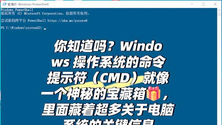电脑CMD错误代码11003解析（分析、解决和避免CMD错误代码11003的方法）
